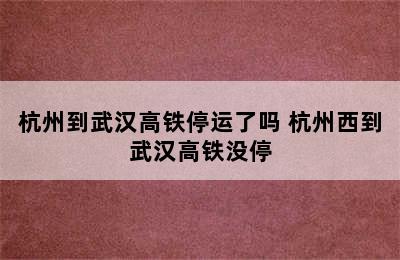 杭州到武汉高铁停运了吗 杭州西到武汉高铁没停